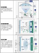 2024年中国汽车车辆市场现状及未来发展趋势分析(图7)