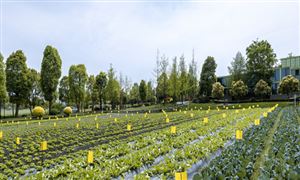 2024智慧能源行业未来发展趋势及前景预测(图5)