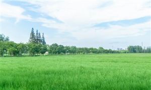 2024环卫车产业链上下游发展现状及竞争格局分析(图5) 2024环卫车产业链上下游发展现状及竞争格局分析(图5)