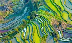 2024中国电工机械行业市场现状及未来发展趋势(图5)