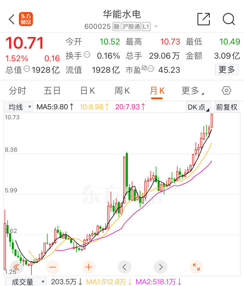 水电“双雄”创历史新高！为何涨个不停？(图1)