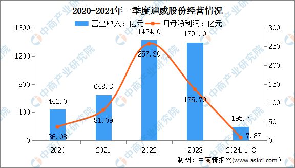 2024年中国分布式光伏行业市场前景预测研究(图13)