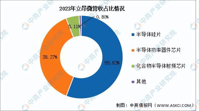 2024年中国半导体材料行业市场前景预测研究(简版)(图13) 2024年中国半导体材料行业市场前景预测研究(简版)(图13)
