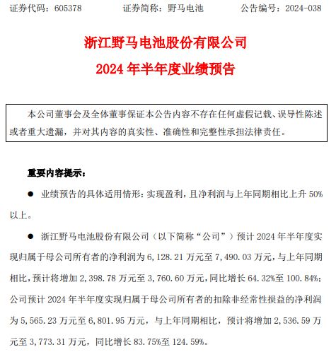 野马电池2024年上半年预计净利6128万-7490万公司积极推进精细化管理、全面降本增效(图1)
